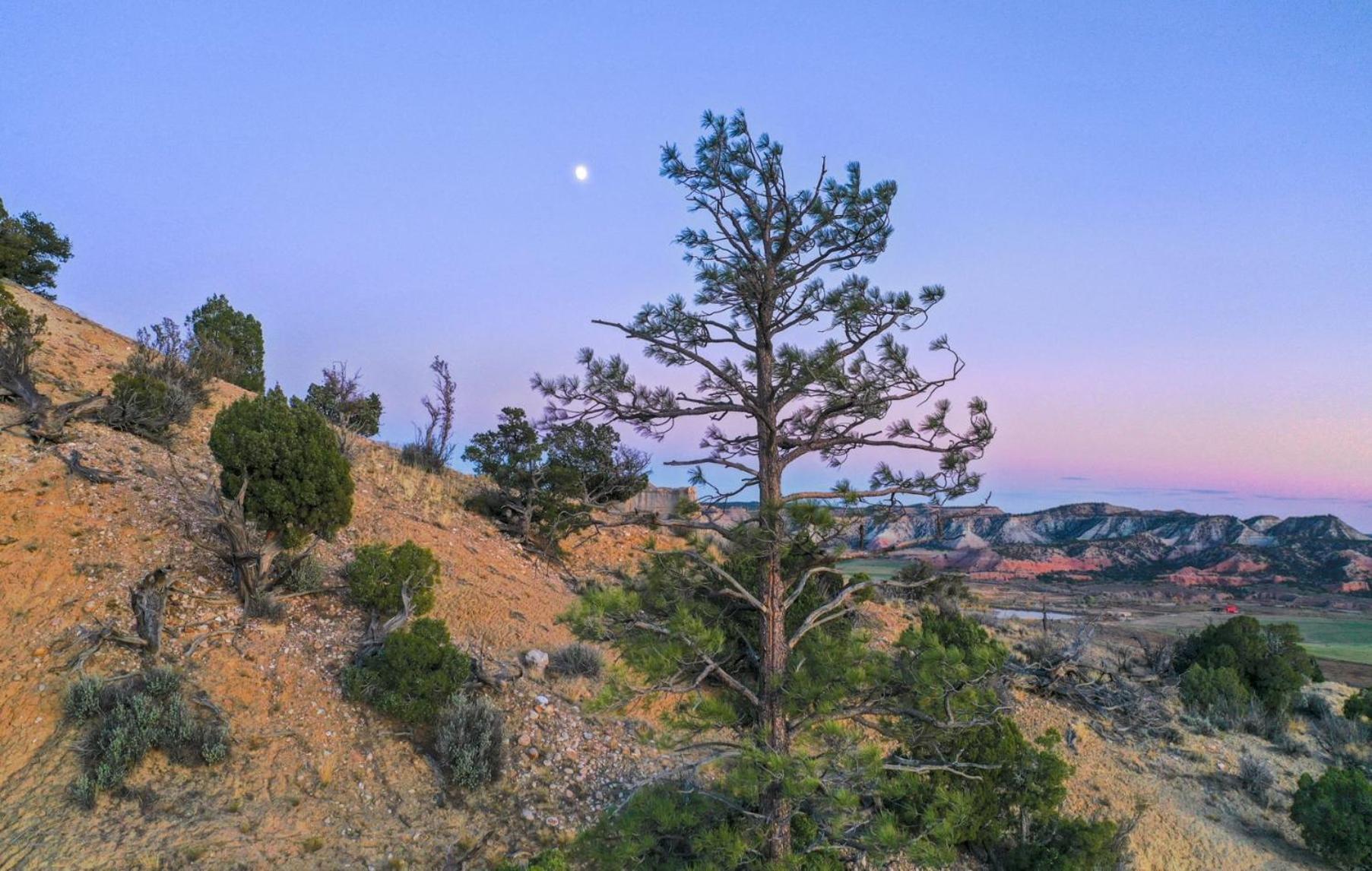 Clear Sky Resorts - Bryce Canyon - Unique Stargazing Domes Cannonville Extérieur photo
